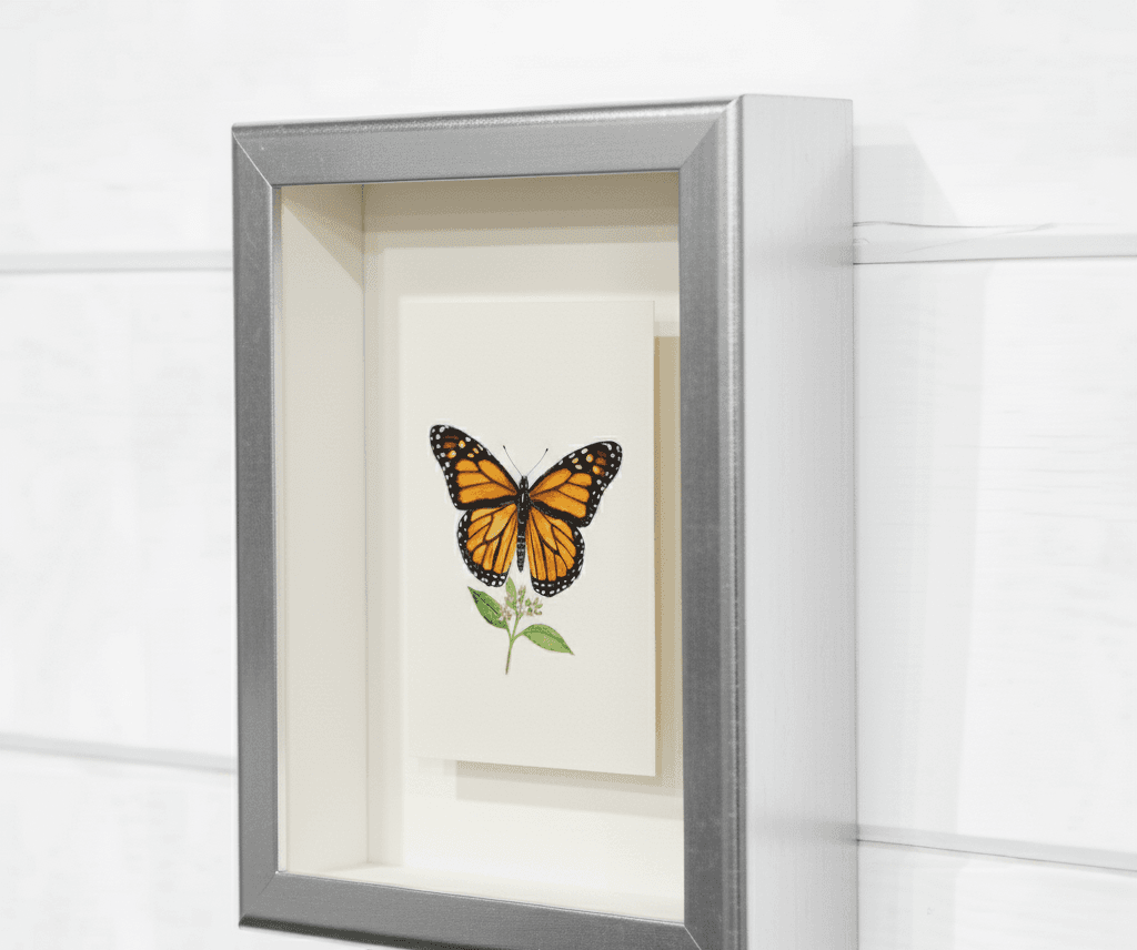 Angle view brushed silver shadowbox frame mounted on white shiplap wall displaying preserved monarch butterfly specimen on white mat with natural lighting showing frame depth perfect for entomology display conservation framing and museum-quality insect specimen preservation